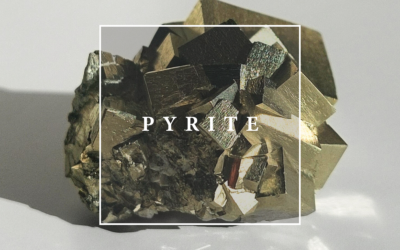 𝐋𝐚 𝐩𝐲𝐫𝐢𝐭𝐞 𝐨𝐮 𝐭𝐨𝐧 𝐚𝐥𝐥𝐢𝐞́𝐞 𝐦𝐮𝐥𝐭𝐢-𝐟𝐚𝐜𝐞𝐭𝐭𝐞𝐬 💎
