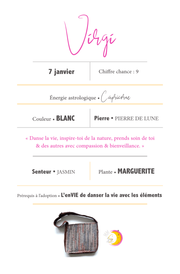 Fiche signalétique • Virgi