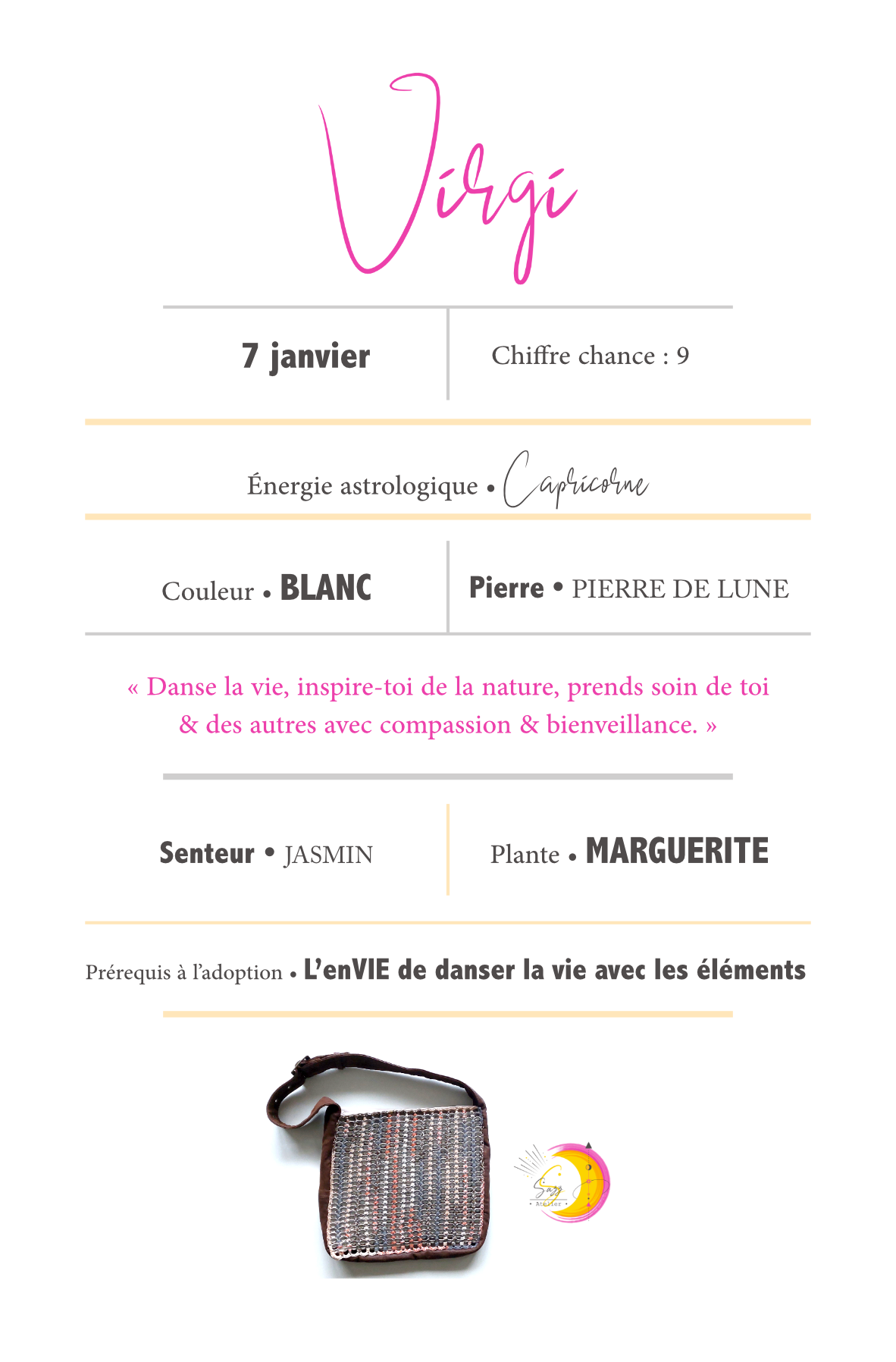 Fiche signalétique • Virgi